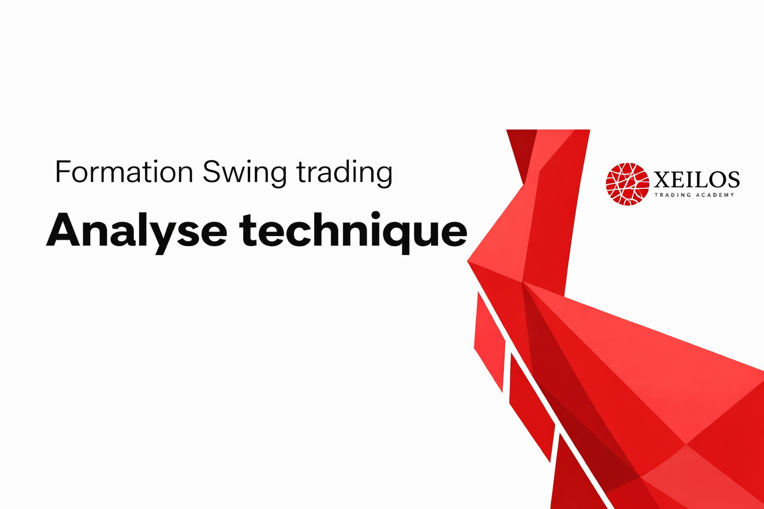Formation Swing Trading et Analyse Chartiste Swing101